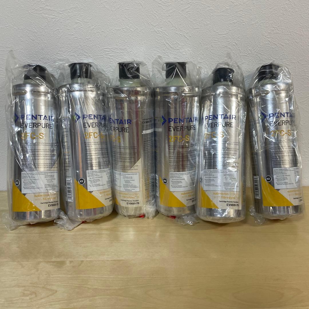 Pentair Everpure 2FC-Sカートリッジ 6個セット