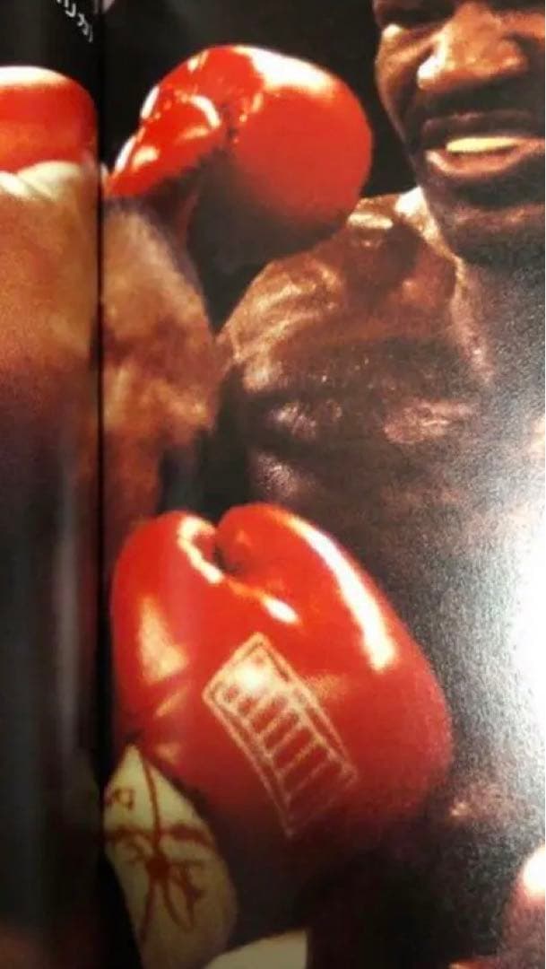 超希少　エバーラスト EVERLAST 8オンス　公式試合用グローブ　新品