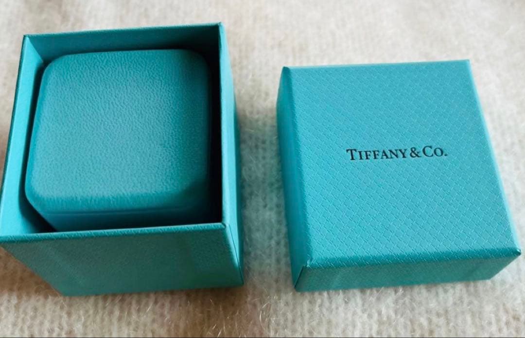 【鑑定必須・美品】ティファニー メトロ フルエタニティリング　（Gカード有り）