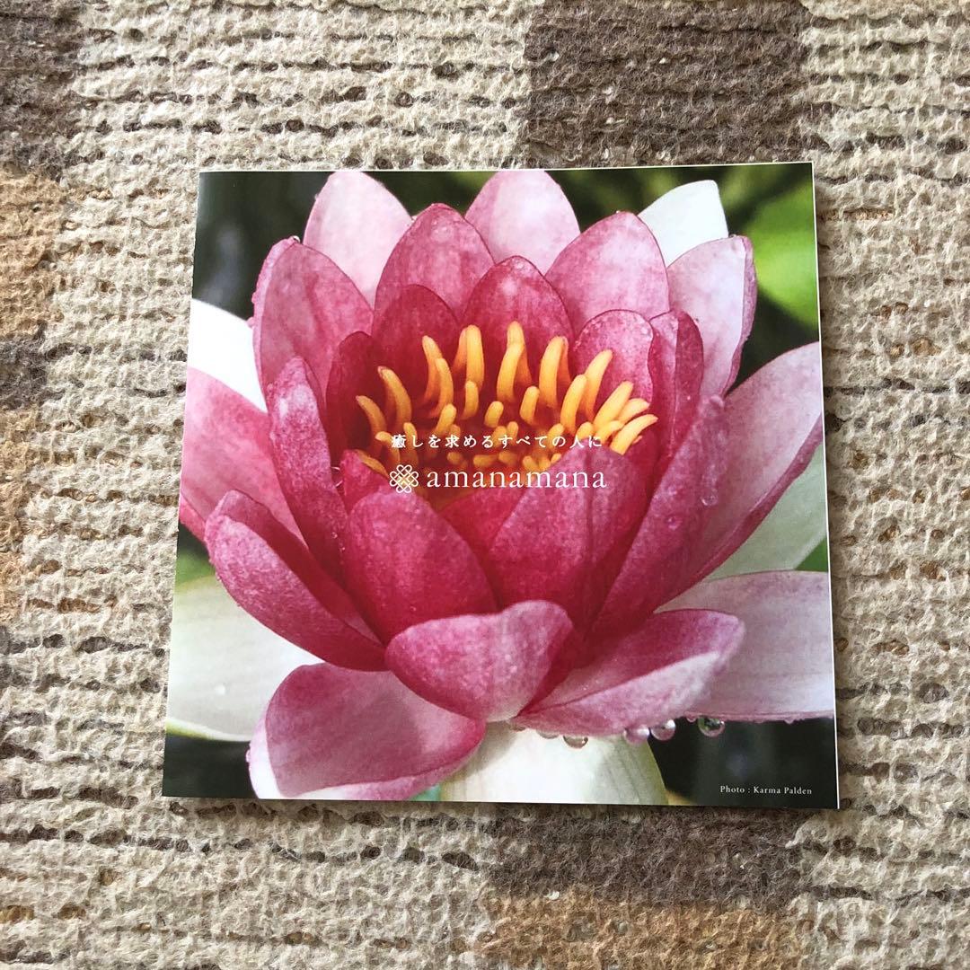 アマナマナ　シンギングボール 小中18cm