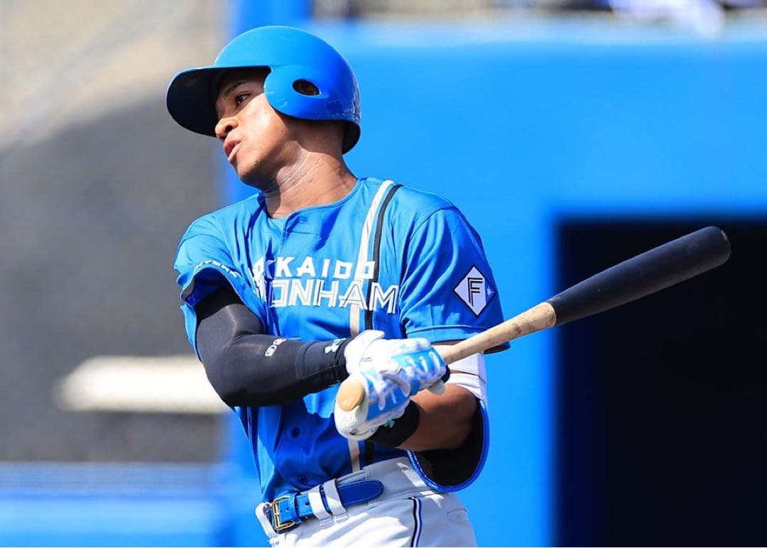 チャンドラー　NPB【激レア】万波中正選手【最終値下げ】