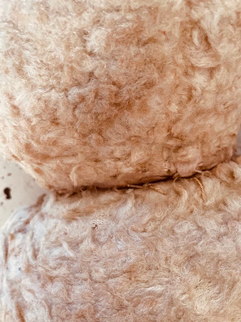 フランス　ヴィンテージベア　モコモコ♡⸝⸝⸝⸝ アンティークベア