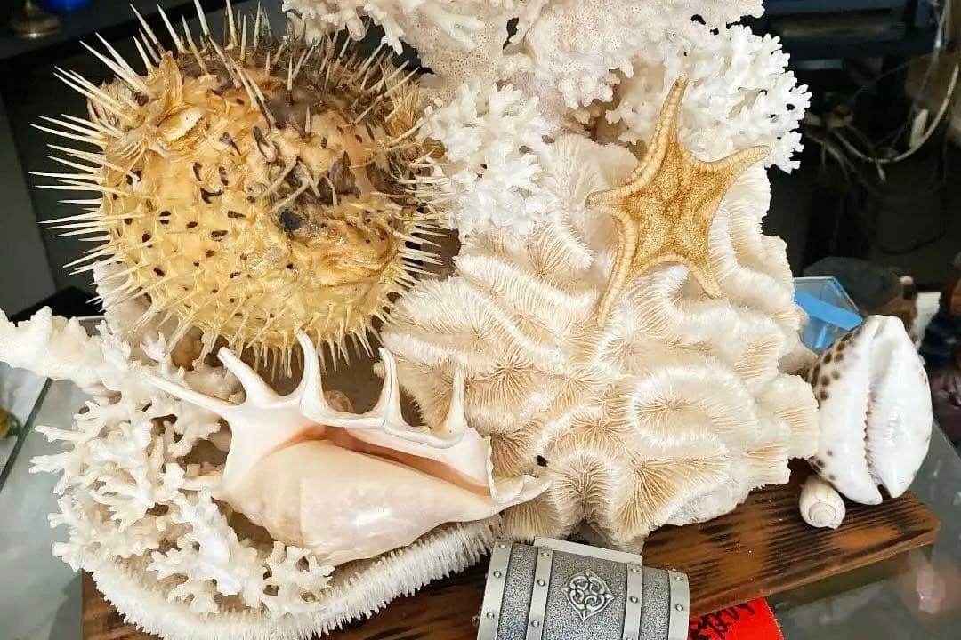 珊瑚　縁起物　昭和時代物　宝箱付き　アンティーク