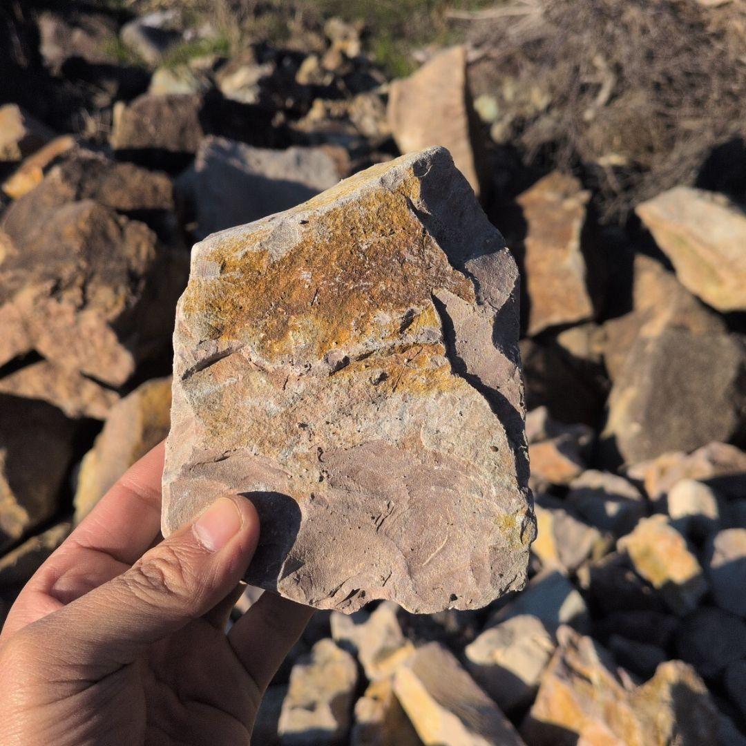 新潟産　桜石　300キロ　庭石　鑑賞石 石　石材　割栗石　庭　ガーデニング