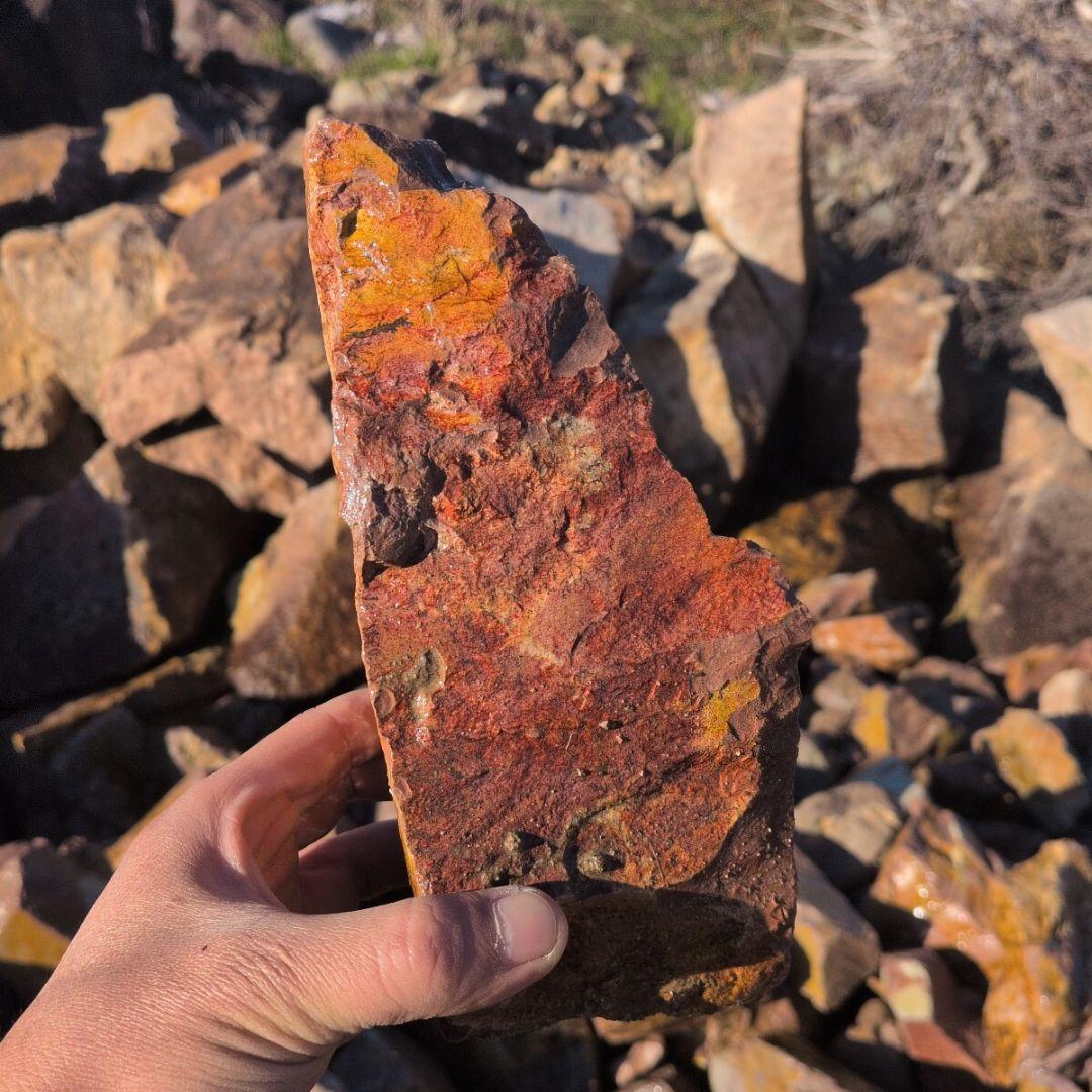 新潟産　桜石　300キロ　庭石　鑑賞石 石　石材　割栗石　庭　ガーデニング