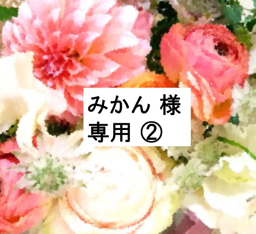 みかん ② 2023年 最新版フルセット 未使用美品多数 DWE