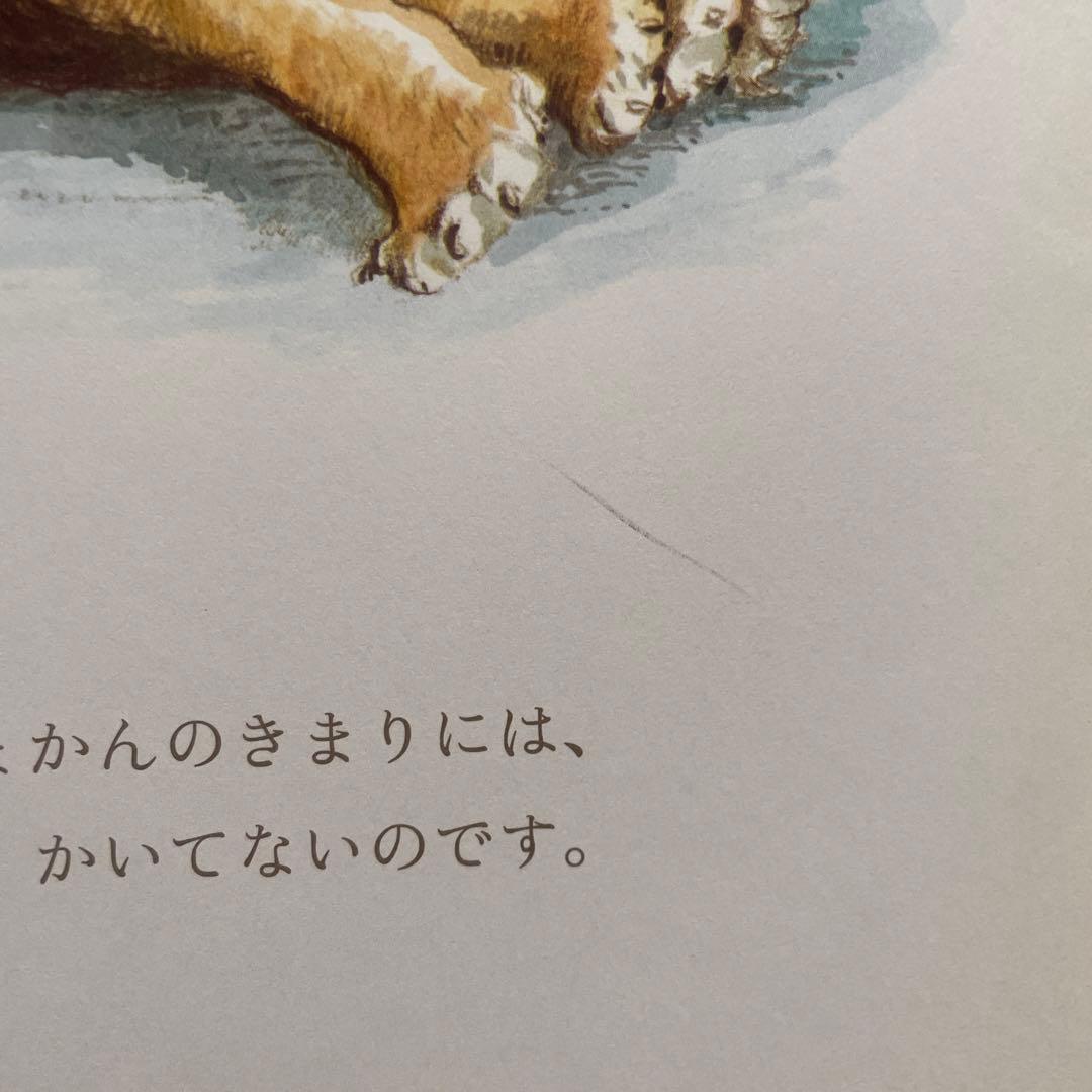 《美品》福音館書店　くもん推薦図書　含む絵本まとめ売り40冊