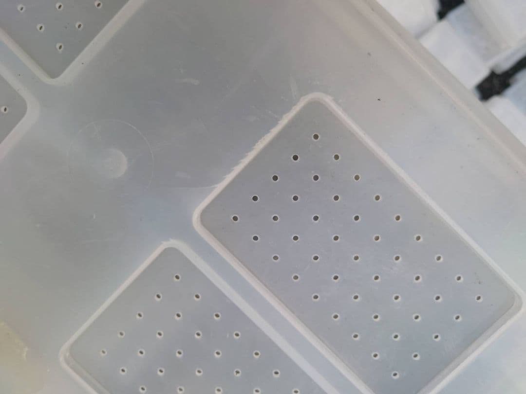 コバエシャッター まとめ売り