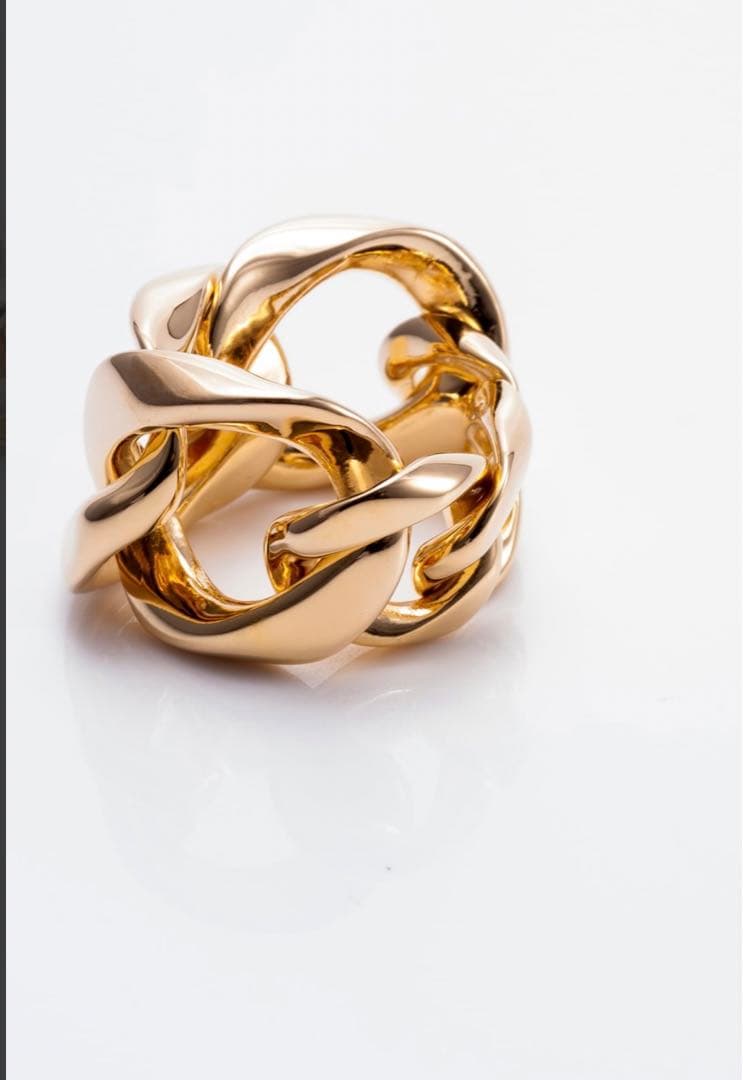 【美品箱付き】nobu ikeguchiノブイケグチ　チェーンリング 11号