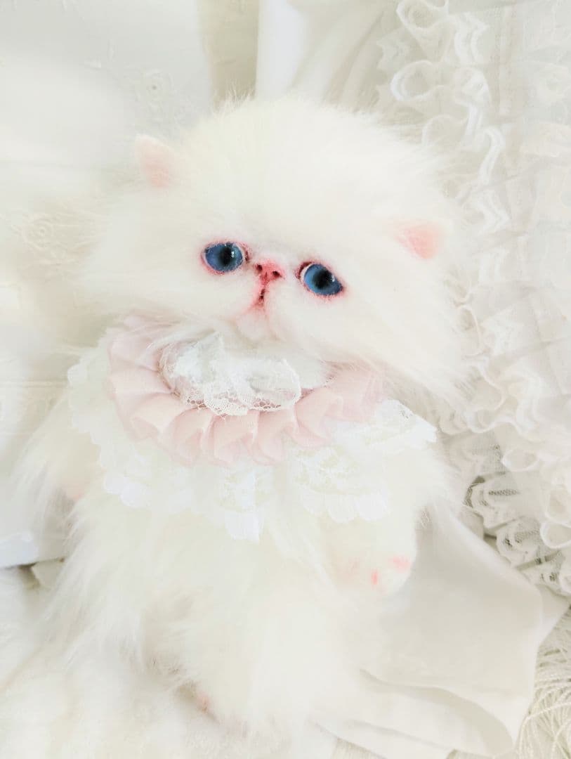 ポッケにゃん♡エキゾチック子猫ちゃん♡アートドール♡ぬいぐるみ