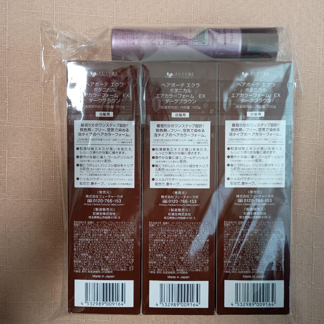 ヘアボーテエクラボタニカルエアカラーフォームEX3本セット【ダークブラウン】