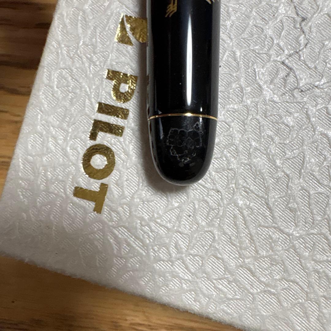 PILOT 万年筆 黒 手のデザイン