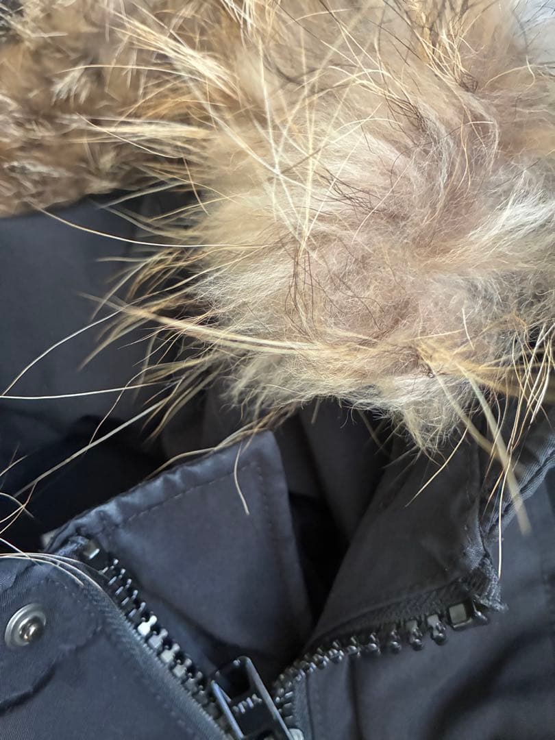 ダントン　ダウン　コート　ロング　M ブラック　リアルファー　ジャケット