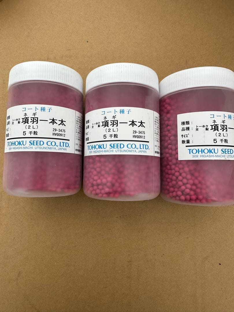 ネギ種「項羽一本太」15000粒