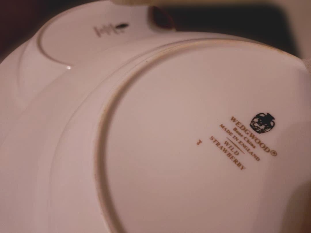  Wild Strawberry 20cm皿 2枚セット