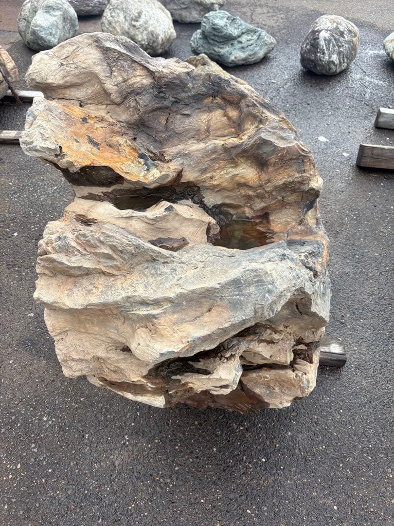 天然木化石 大型原石 庭石 観賞石 オブジェ 90cm級