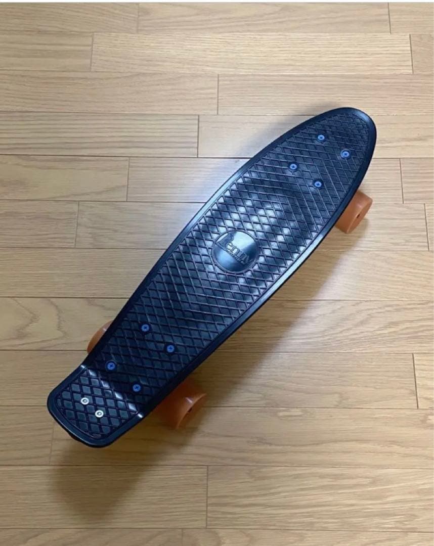 Penny ペニー 22インチ RAVEN FESNカスタム　ミニクルーザー