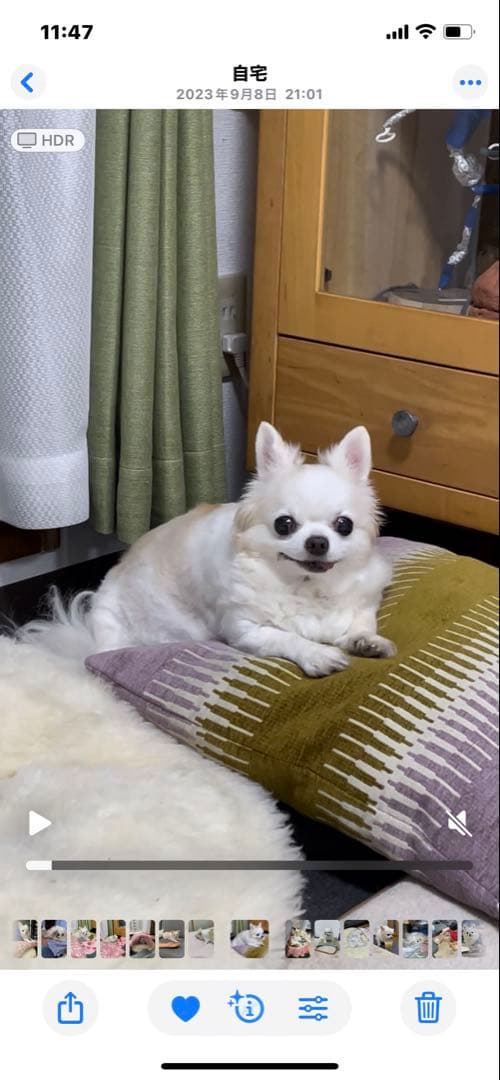 画像確認用　背中、全身伏せポーズ