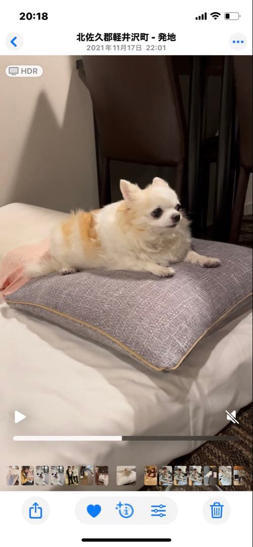 画像確認用　背中、全身伏せポーズ