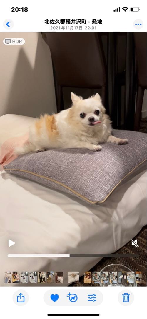 画像確認用　背中、全身伏せポーズ