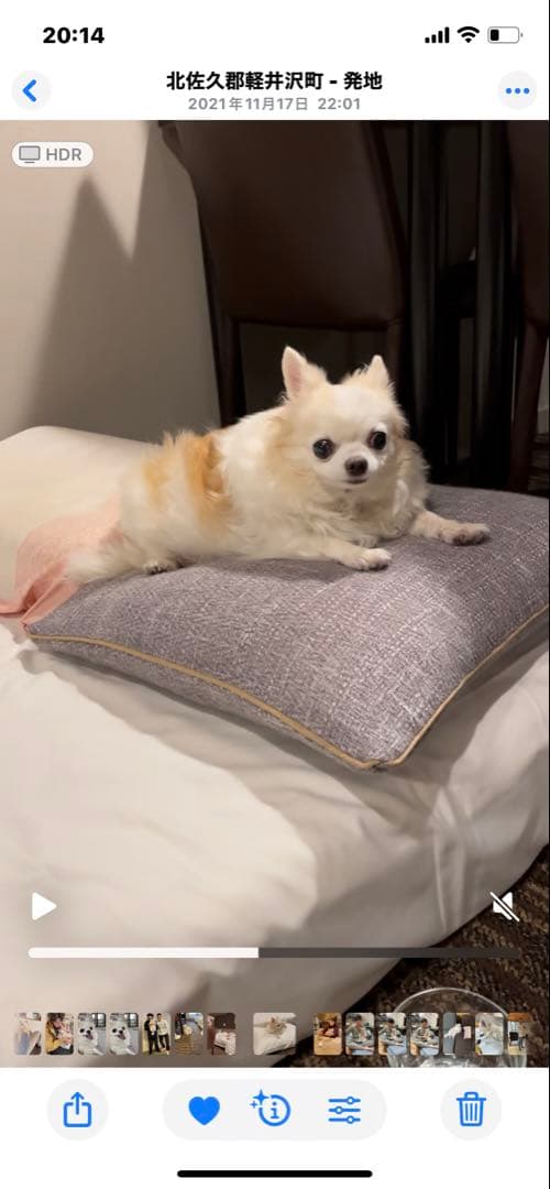 画像確認用　背中、全身伏せポーズ