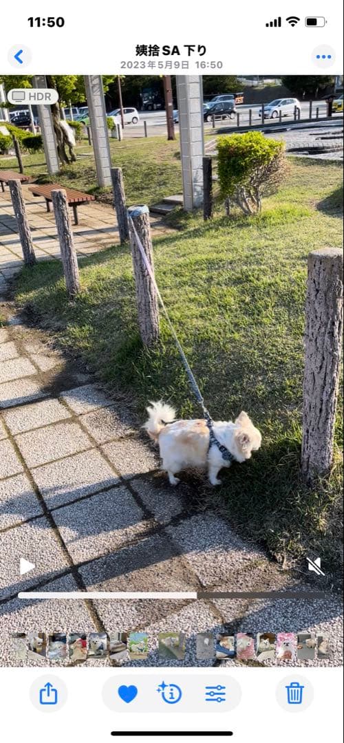 画像確認用　背中、全身伏せポーズ