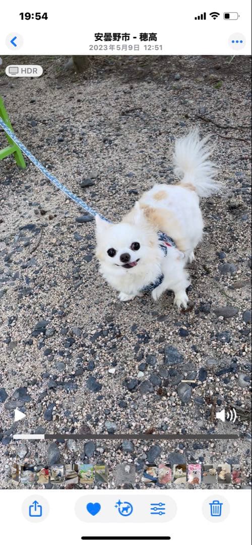 画像確認用　背中、全身伏せポーズ