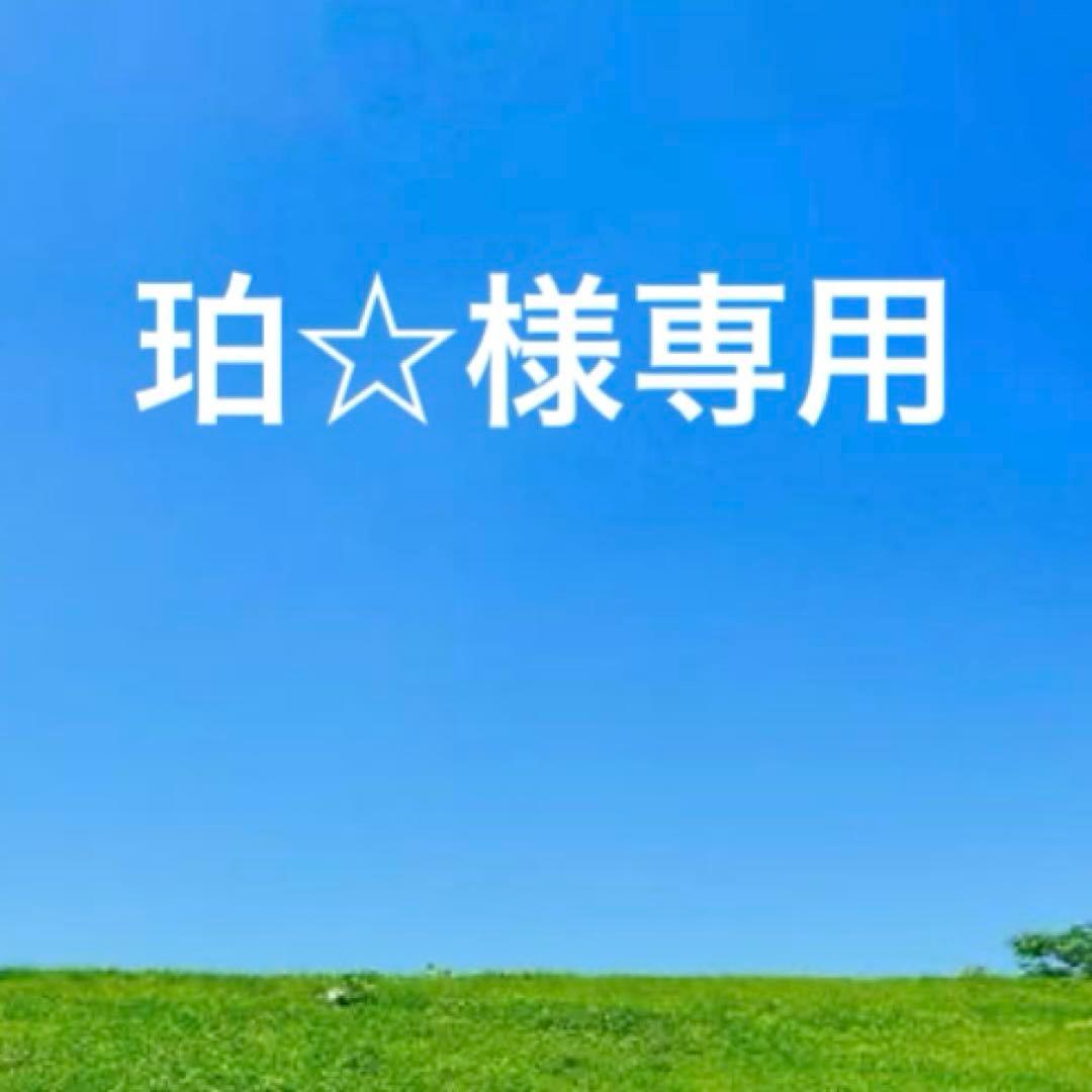 未使用　希少　IL BISONTEレザー三つ折り財布　グレージュ　袋カード付き