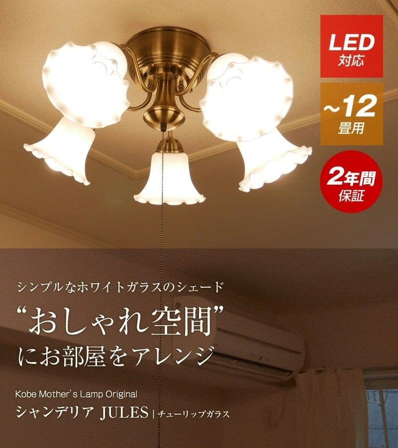 シャンデリア 天井照明 照明器具 モダン フラワーシェード ヨーロッパ照明