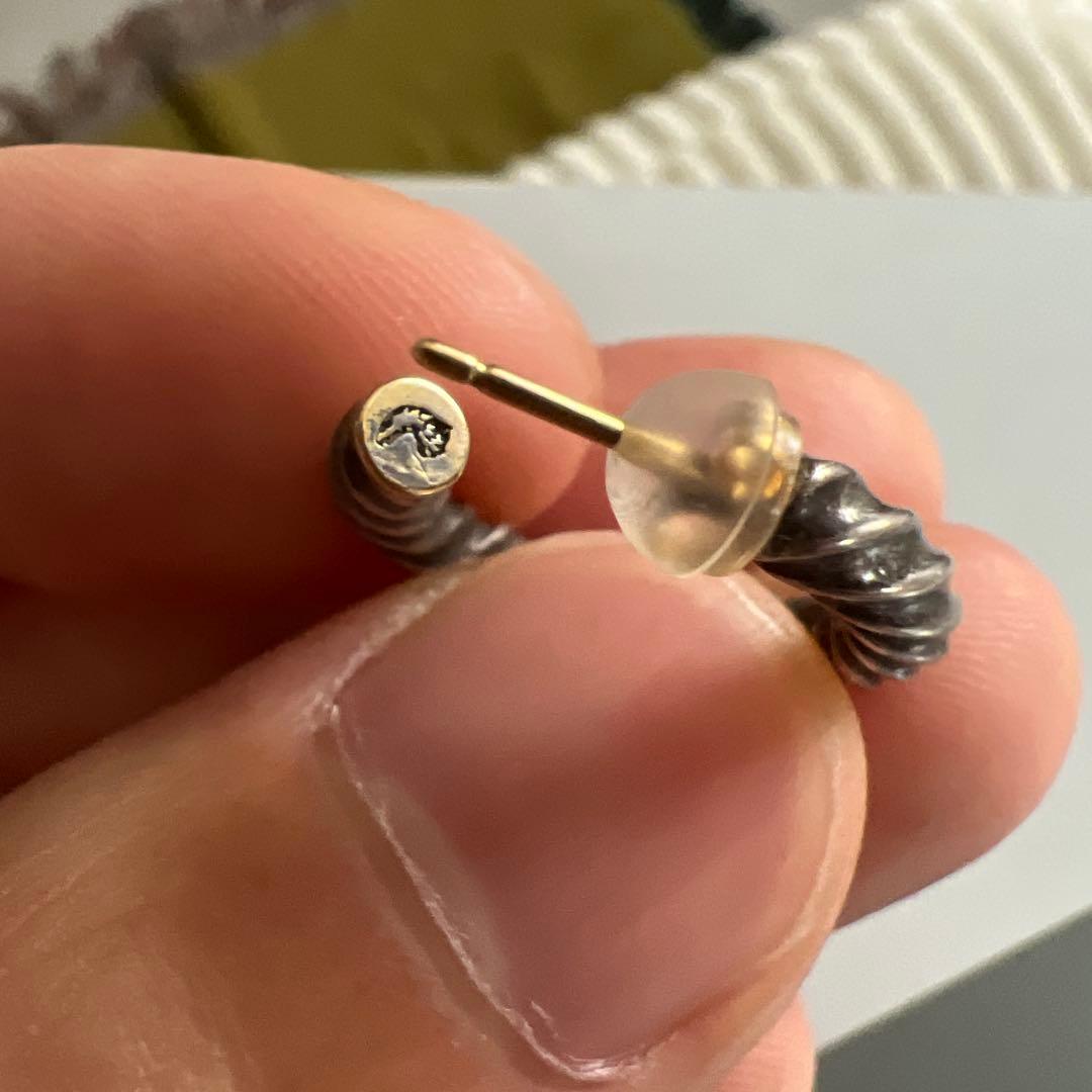 Larry Smith ピアス