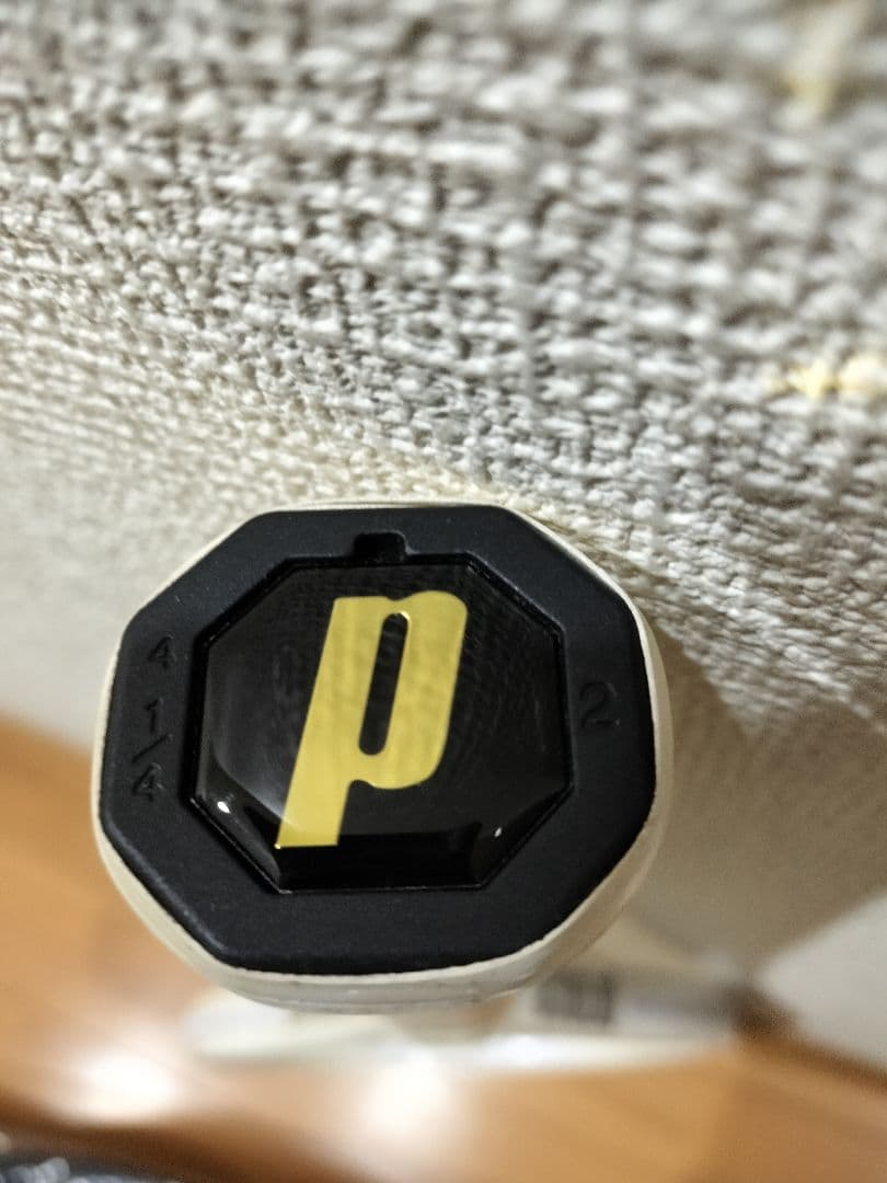 現行 ザイロン　モデル Emblem 120 プリンス　テニスラケット