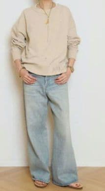 HERILL HL DENIM WIDE muse購入　38