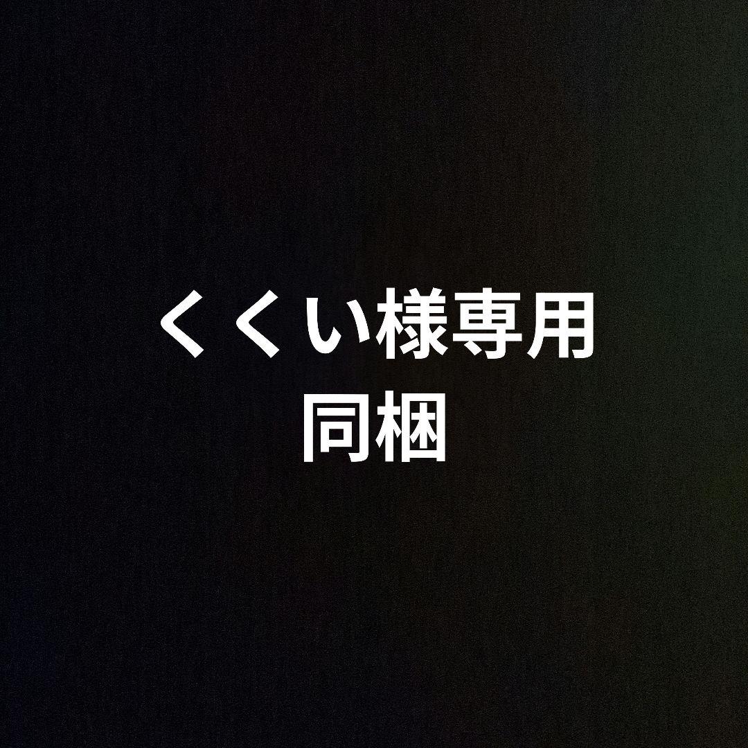 くくい シークレットオブスノーウィーデイ　クッキーアン　10点