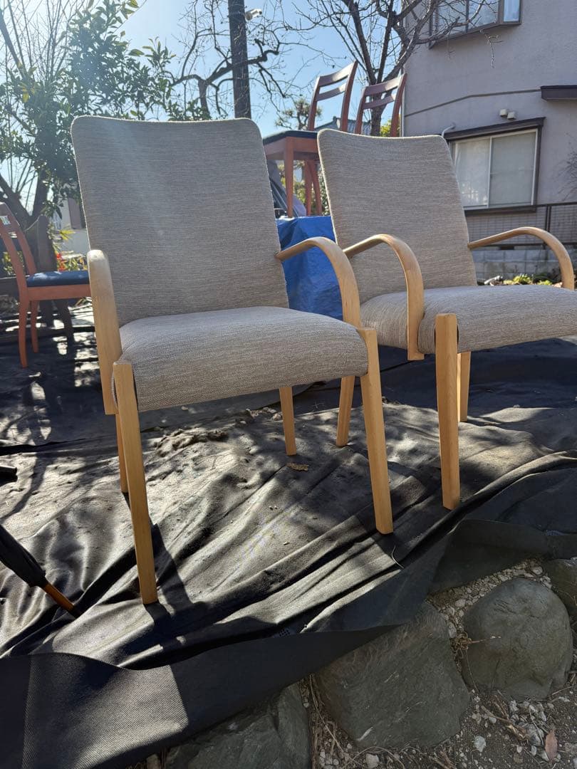 ニトリ Nコレクション C-10 ダイニングチェア 肘付き 2脚セット 引取限定