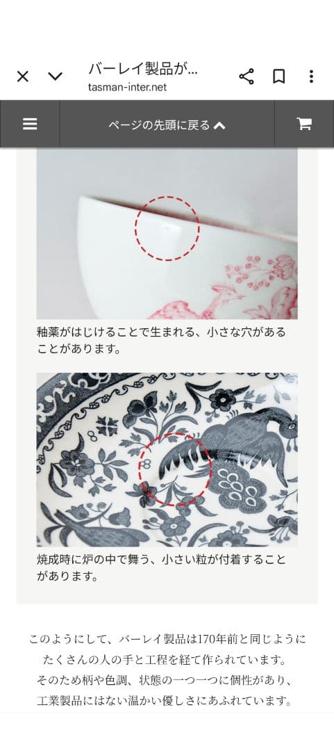 【新品・未使用】Burleigh ビクトリアンチンツ 19cmプレート　2枚組