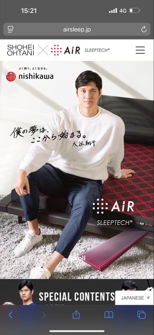 枕　AiR ナイスNICE