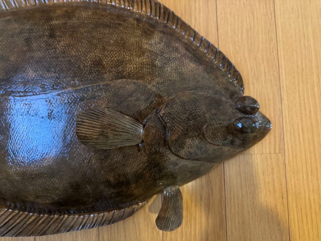 リアルなヒラメの剥製または模型