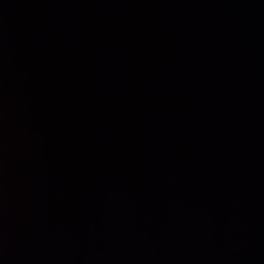 【くま】トナー