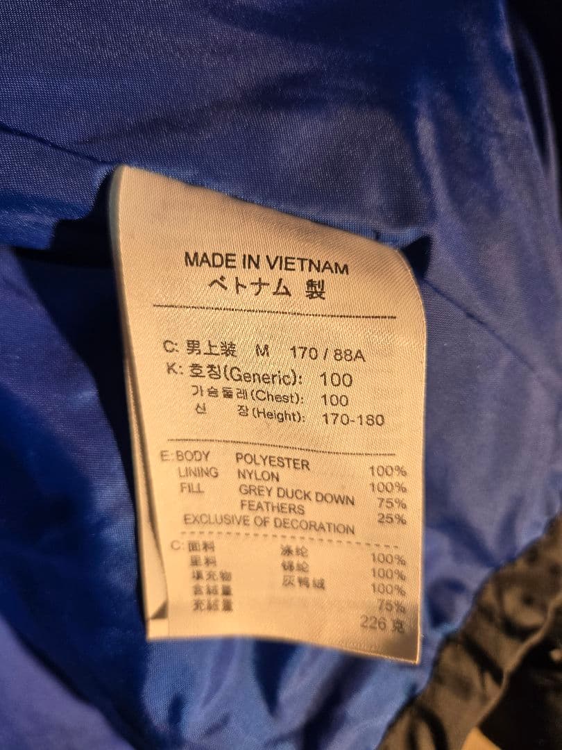 【稀少】インテル × NIKE ダウンジャケット L相当 total90 00s