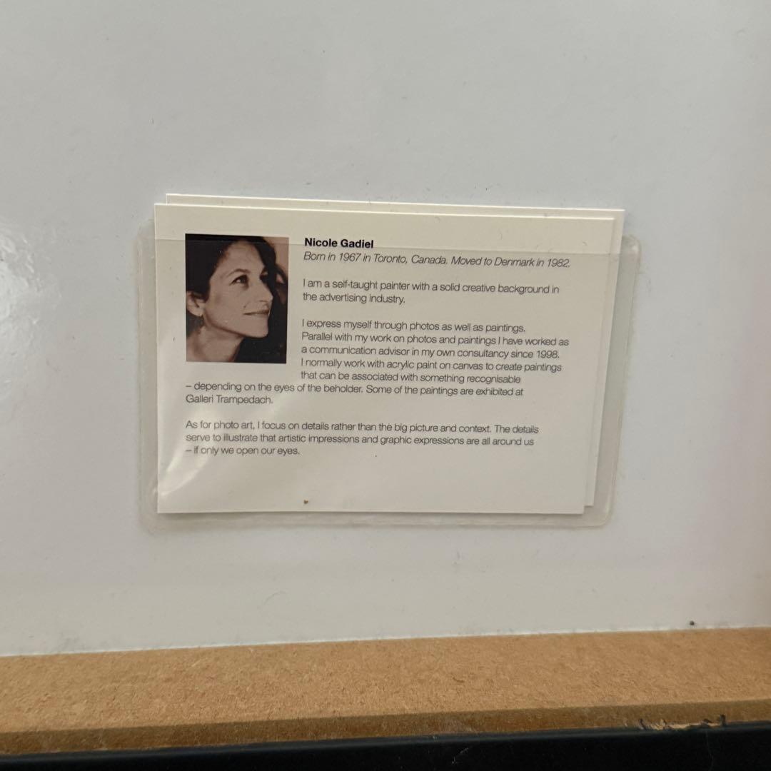 BoConcept ガラス アート 抽象画 インテリア ディスプレイ モダン 絵