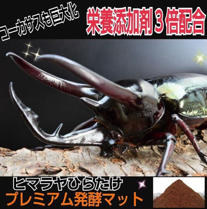 ギネスサイズ実績！特選プレミアム3次発酵カブトムシマット【5袋】特殊アミノ酸配合