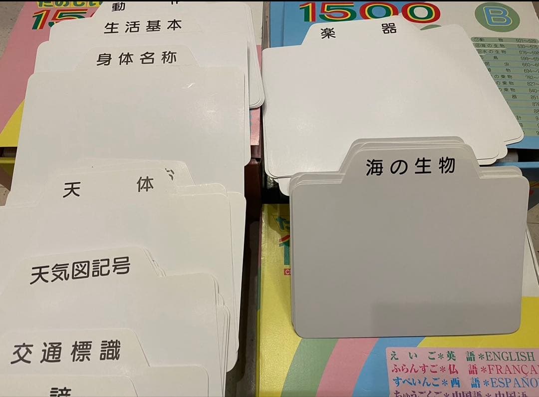 ⭐️家庭保育園　楽しい絵カード1500 CD(翻訳冊子付)セットフラッシュカード⭐️