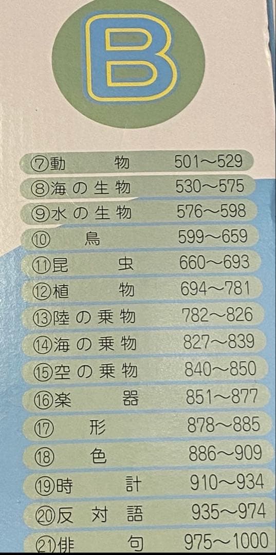 ⭐️家庭保育園　楽しい絵カード1500 CD(翻訳冊子付)セットフラッシュカード⭐️