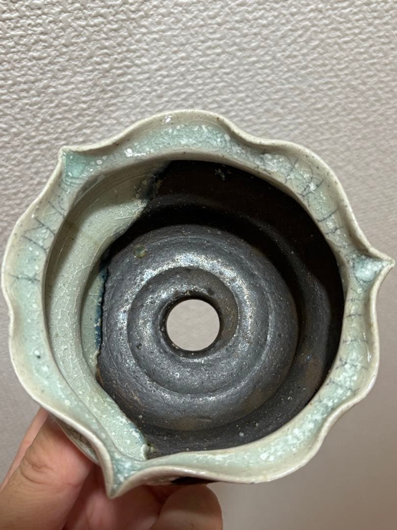 spicygem アーティストライン 藤原純 鶴仙園 鉢