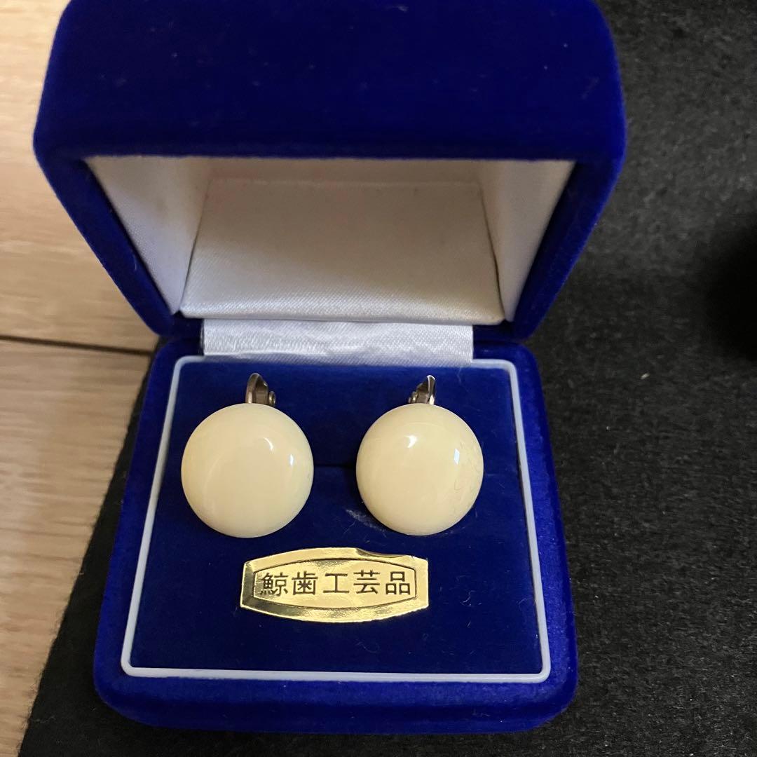 鯨歯工芸品　イヤリング6点セット