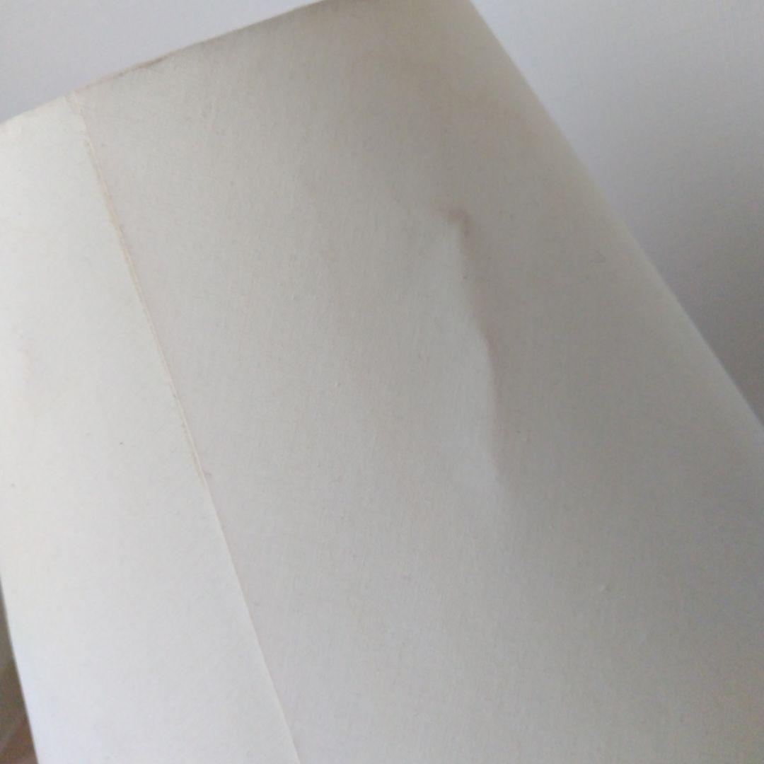 再値下げ　cosine　コサイン　ライト　ランプ　照明