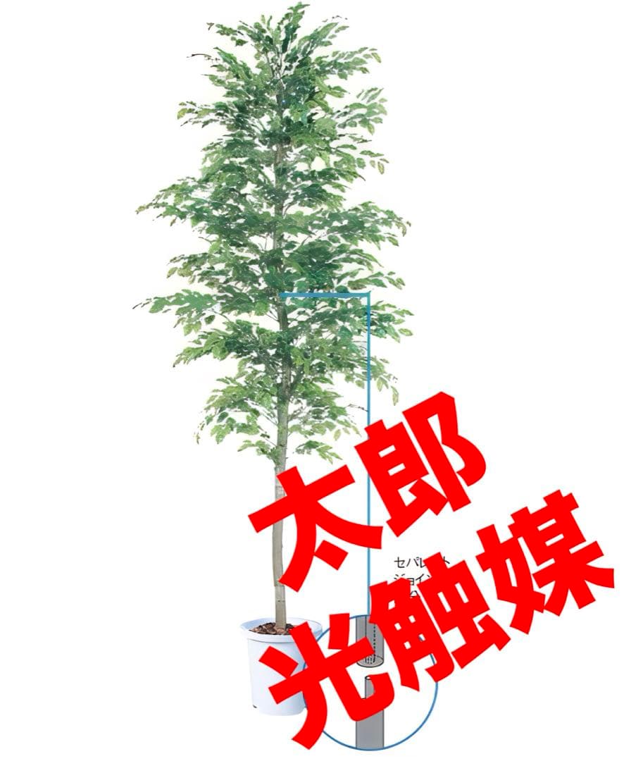 光触媒　人工観葉植物　ベンジャミナスプラッシュセパレート 300cm