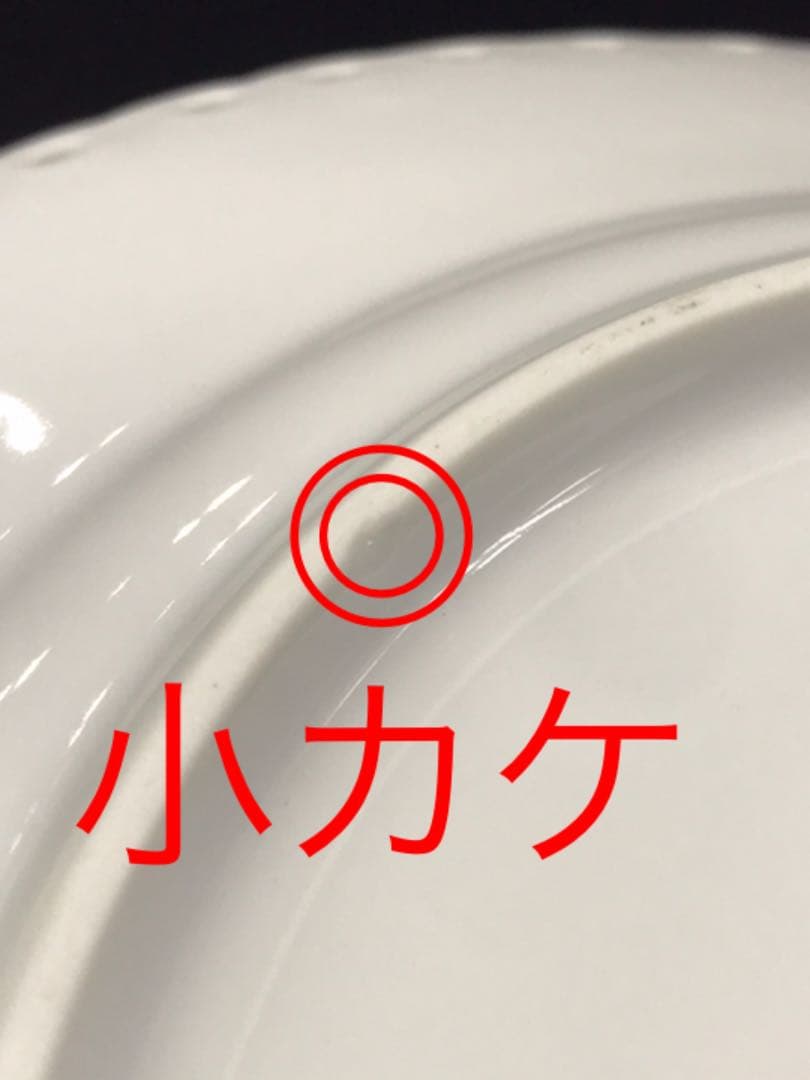 値下！【美品】  フルレース　プレート　2P