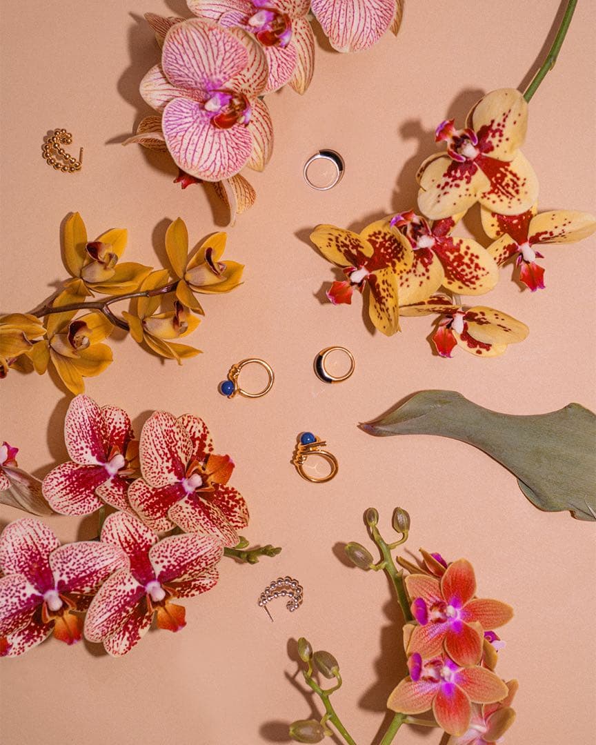 アクセサリー Fauvirame Kinomi Twist Ring lapis lazuli