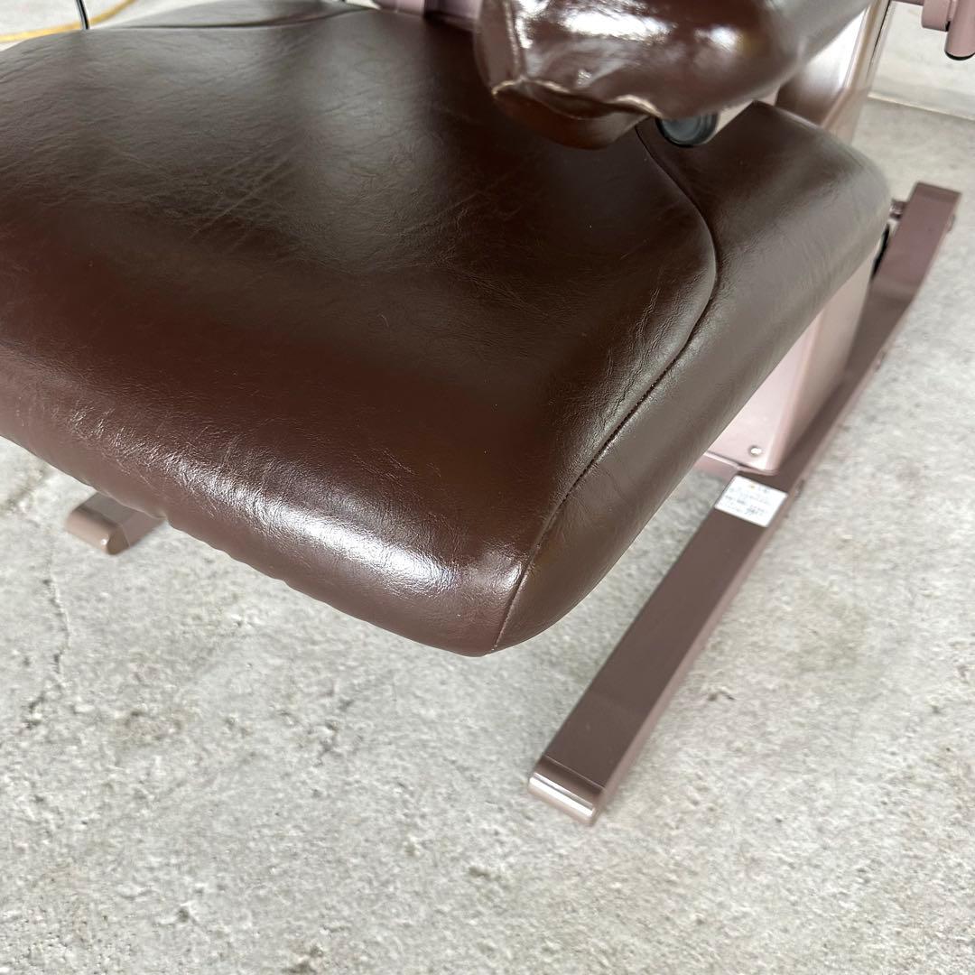 ✿独立宣言 DSREC✿ ご家庭の介護向け・電動昇降＆リクライニングチェア